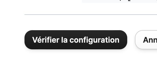 Validation button for the DNS settings requested by Brevo for the WordPress SMTP relay